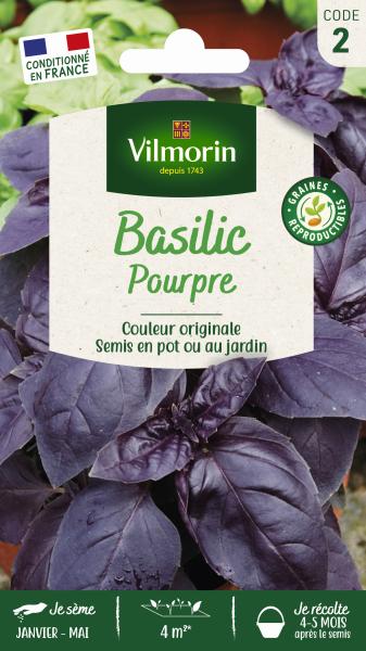 Aromatiques - Basilic Pourpre - PACKAGING_RECTO